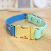 Deer & Hound Co. The Pioneer Collar