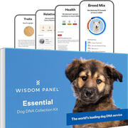 Levi's Wisdom Panel DNA Results