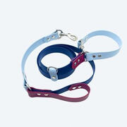 Red Tail Pet Co. 1" Dual Snap Traffic Handle BioThane® Dog Leash